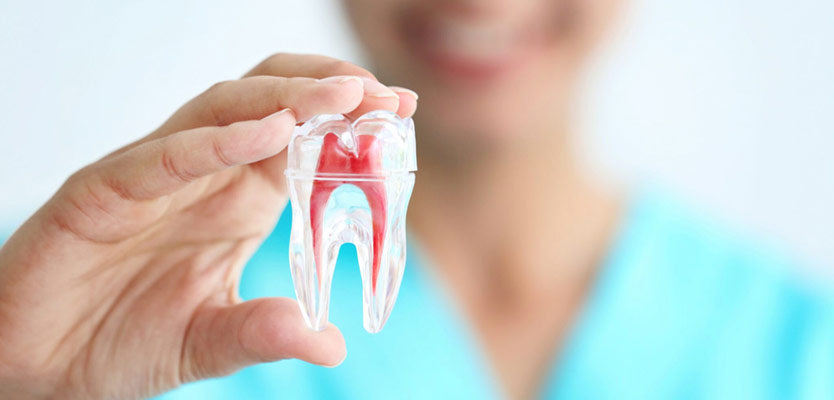 Endodonzia Bergamo Endodonzia Bergamo